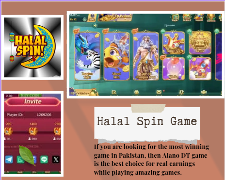 Halal Spin Game